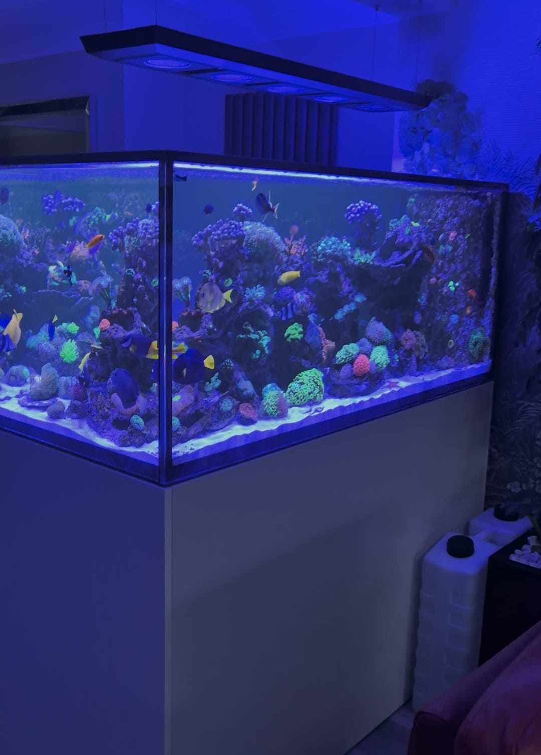 homecare-management-software